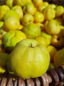 A close-up view of several bright yellow quinces piled together in a basket. The texture of the fruit is smooth, and the fruits are densely packed, indicating a fresh and abundant harvest.