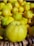 A close-up view of several bright yellow quinces piled together in a basket. The texture of the fruit is smooth, and the fruits are densely packed, indicating a fresh and abundant harvest.
