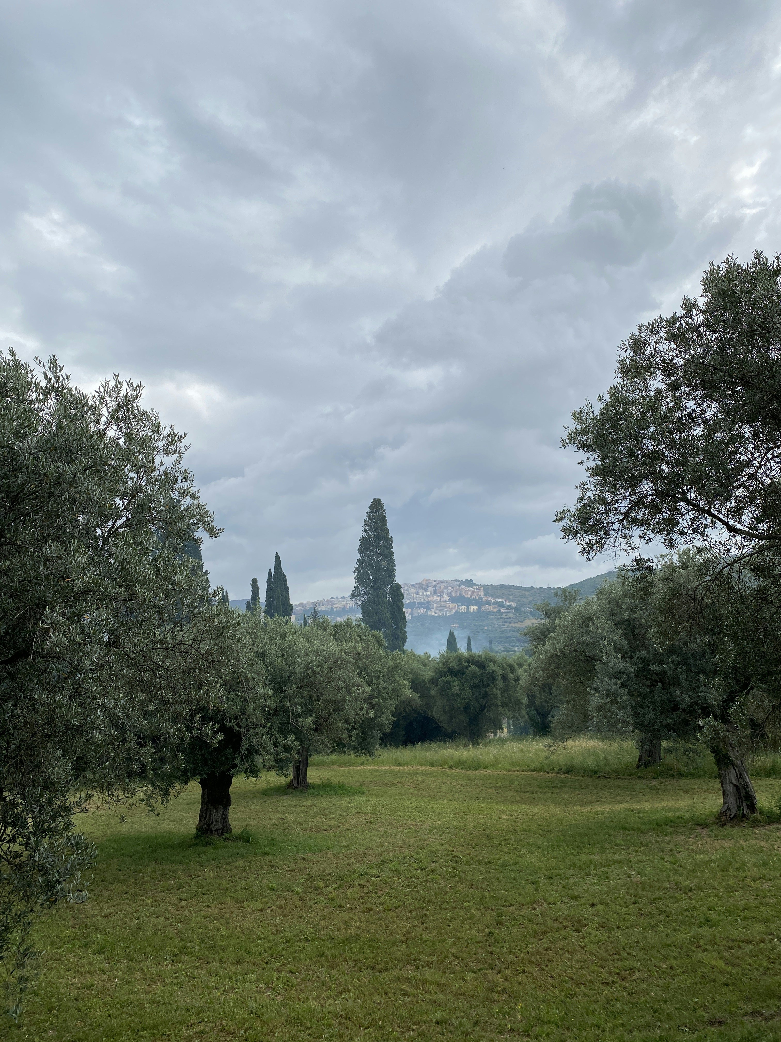 Photo by naximandros