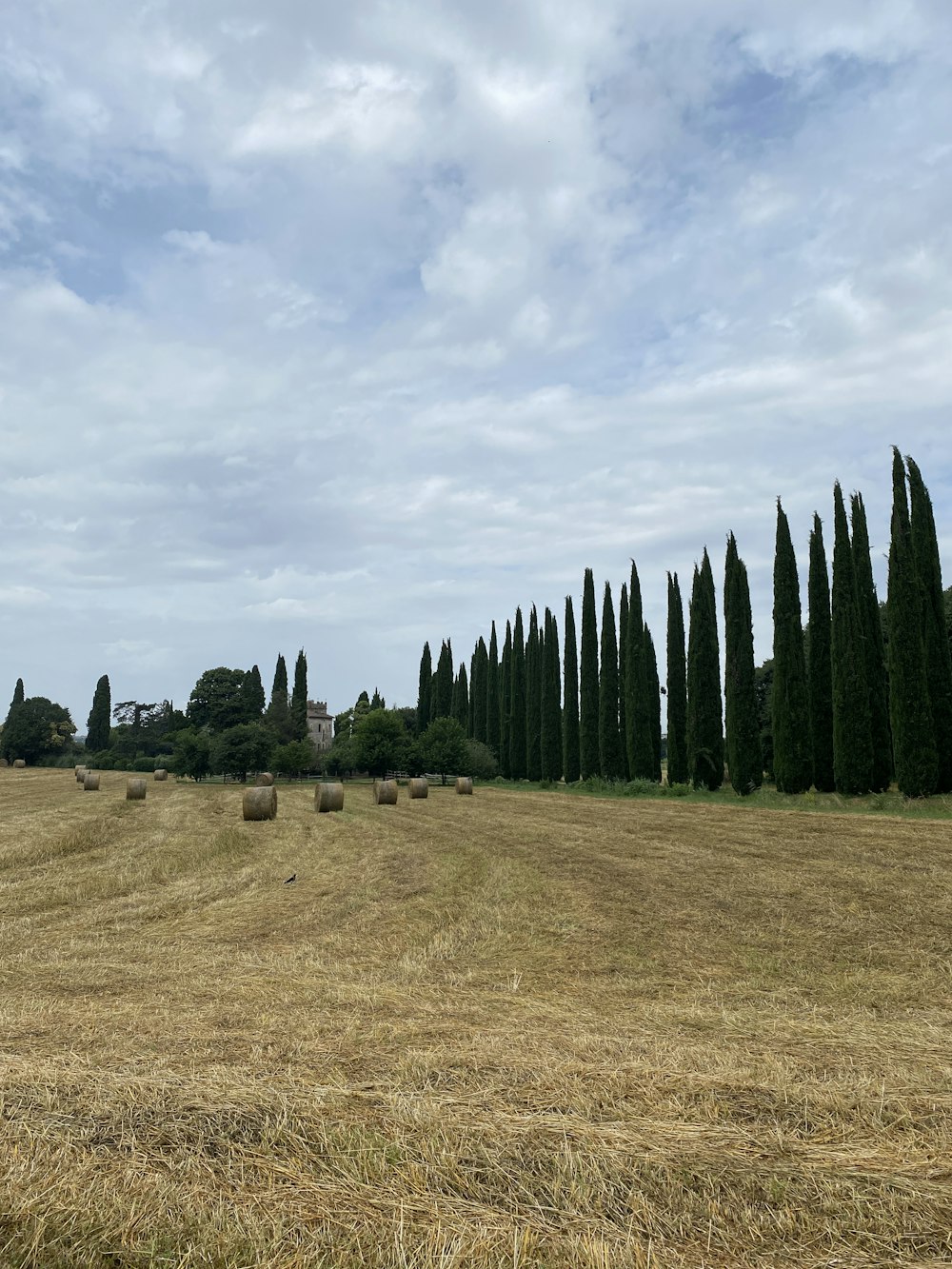 a field with hay bales and trees in the background