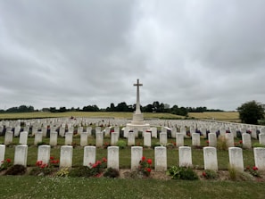 A serene cemetery landscape with rows of white gravestones adorned with red flowers, centered around a tall stone cross. Rolling green fields and trees are visible in the background under a cloudy sky.