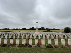 A serene cemetery landscape with rows of white gravestones adorned with red flowers, centered around a tall stone cross. Rolling green fields and trees are visible in the background under a cloudy sky.