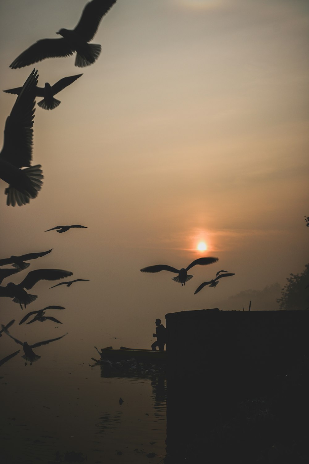 a flock of birds flying over a body of water