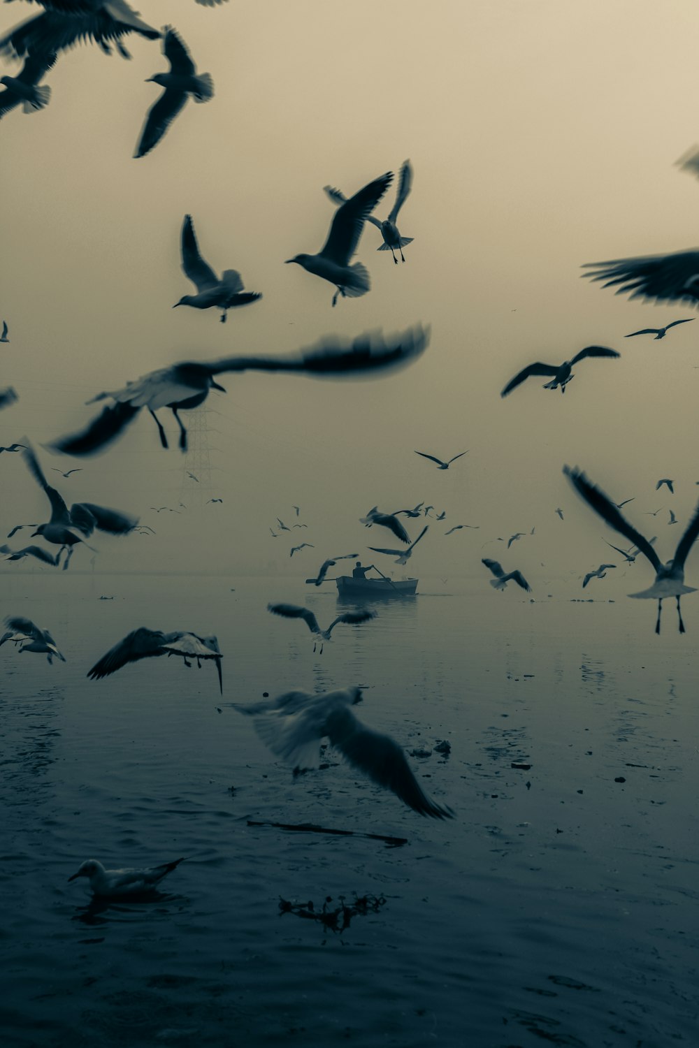 a flock of birds flying over a body of water