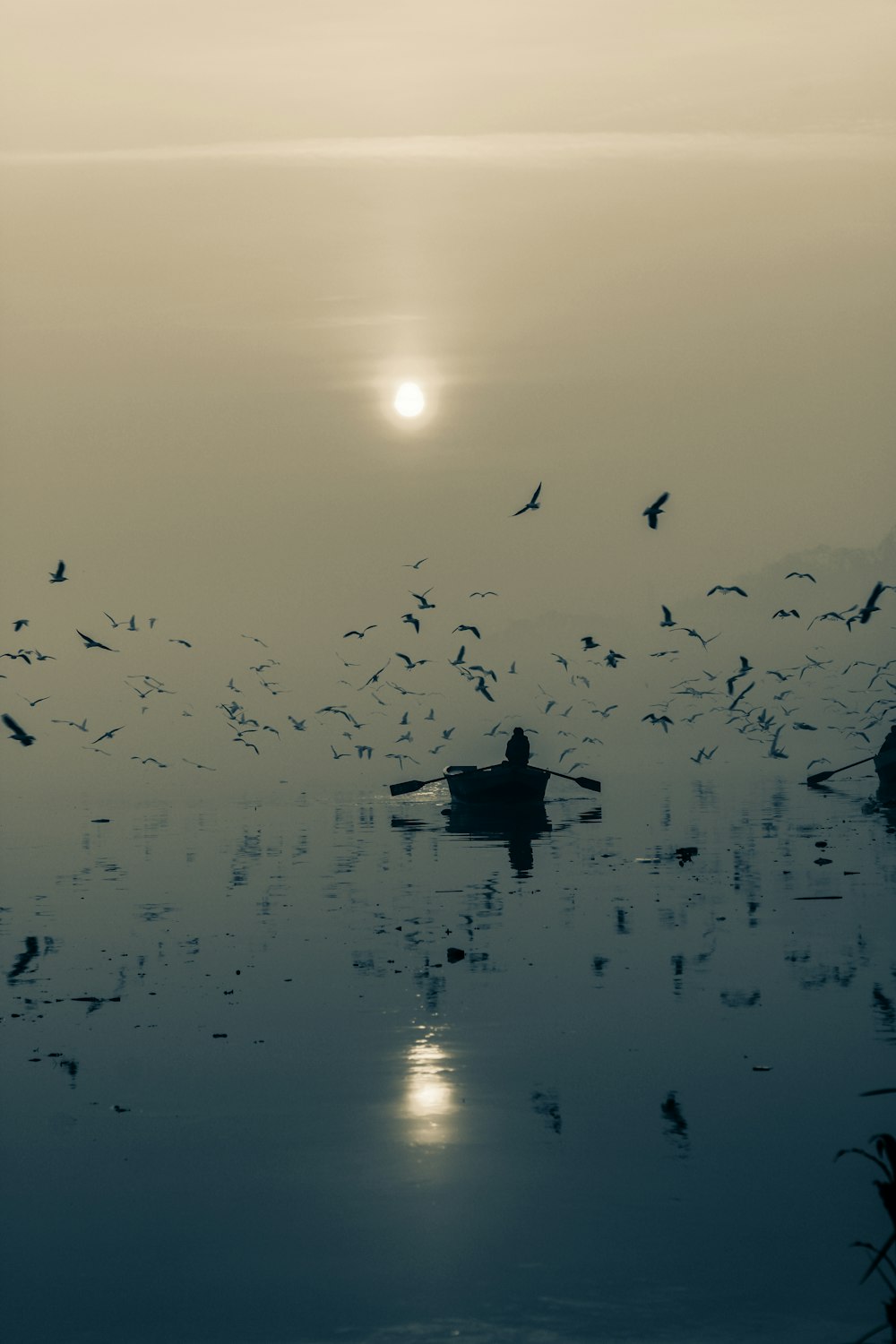 a group of birds flying over a body of water