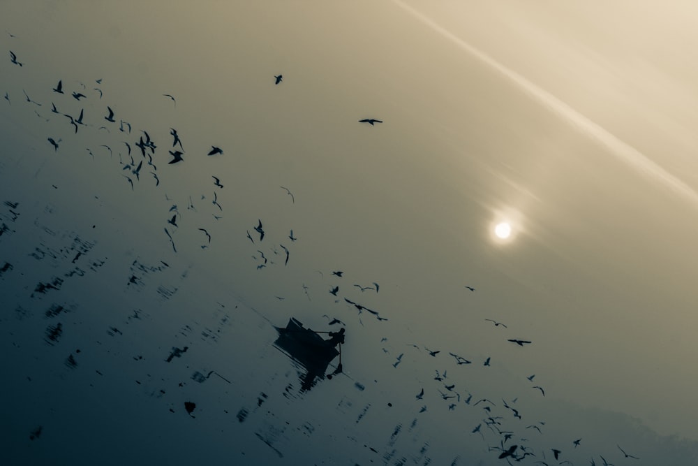 a flock of birds flying through a foggy sky