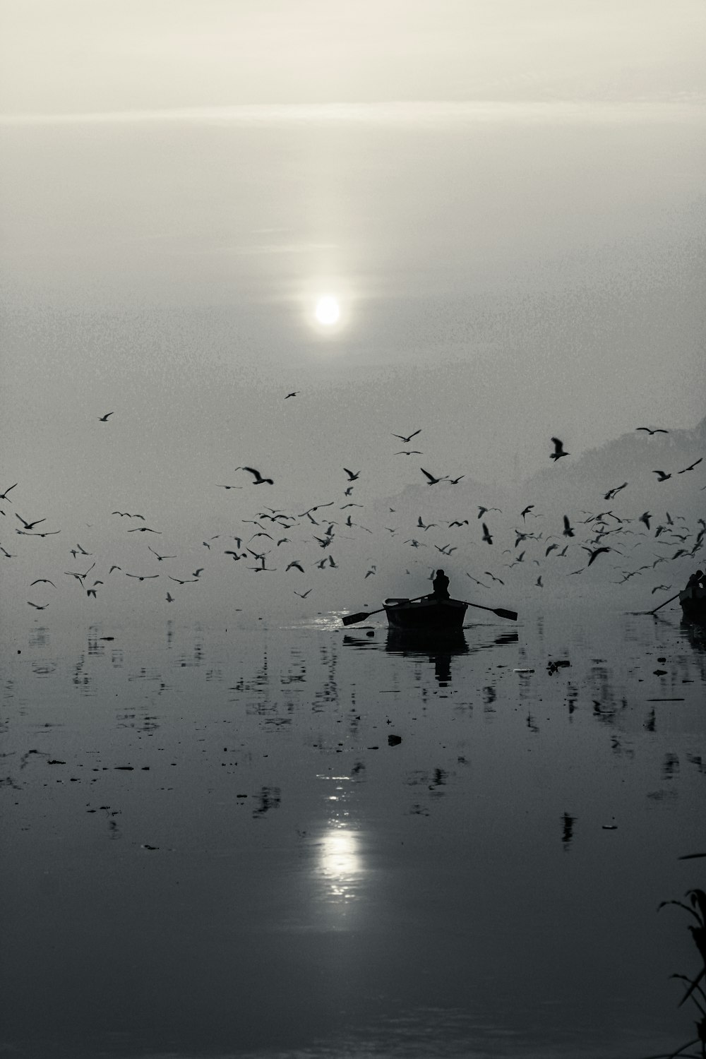 a flock of birds flying over a body of water