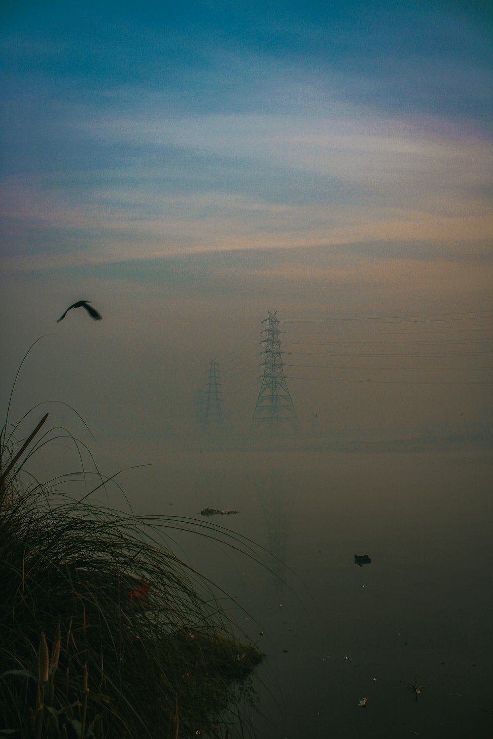 a bird flying over a body of water on a foggy day