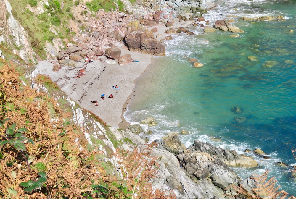 um grupo de pessoas deitado em cima de uma praia ao lado do oceano