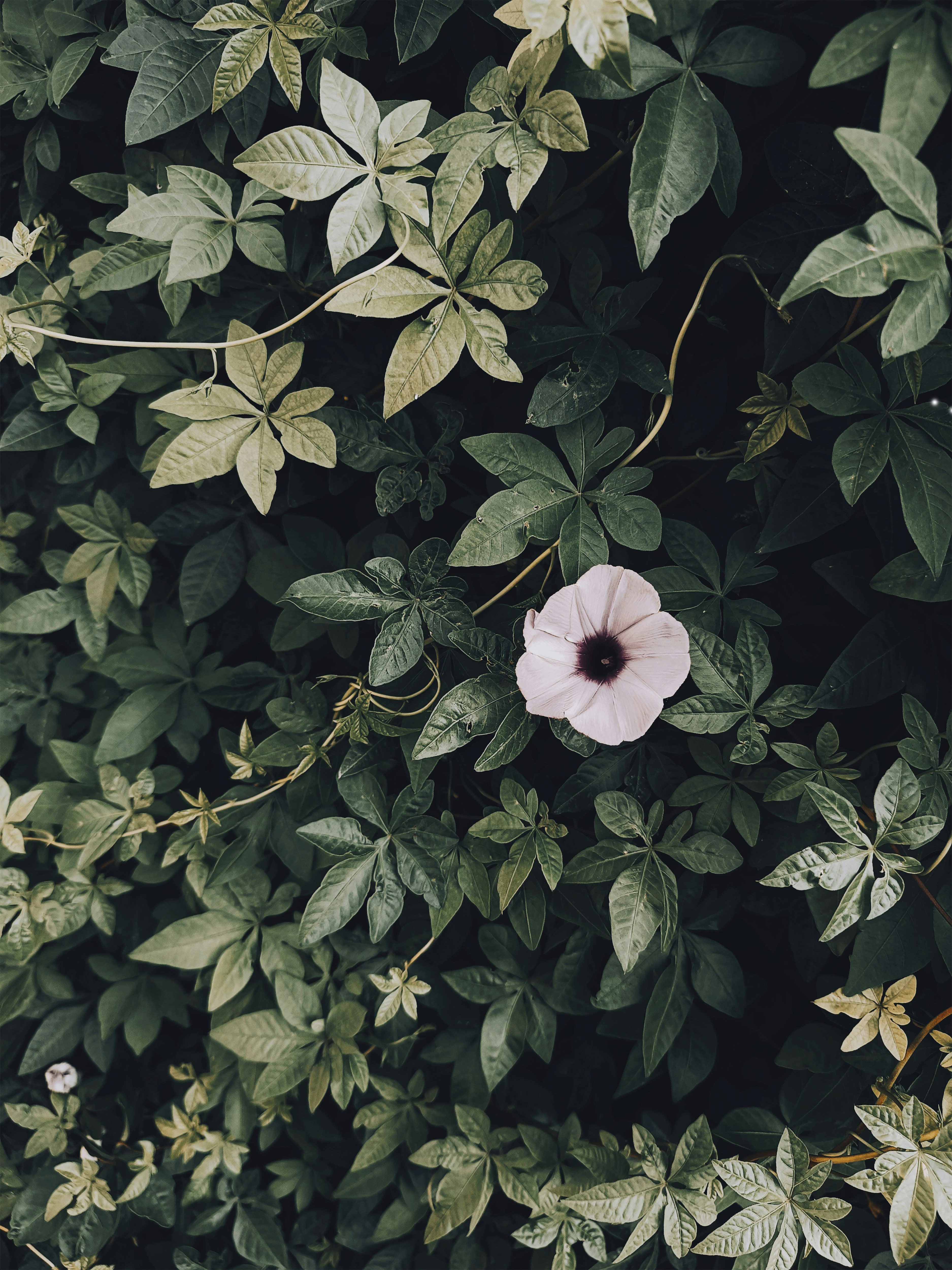 Photo by samanehrasoulzadeh