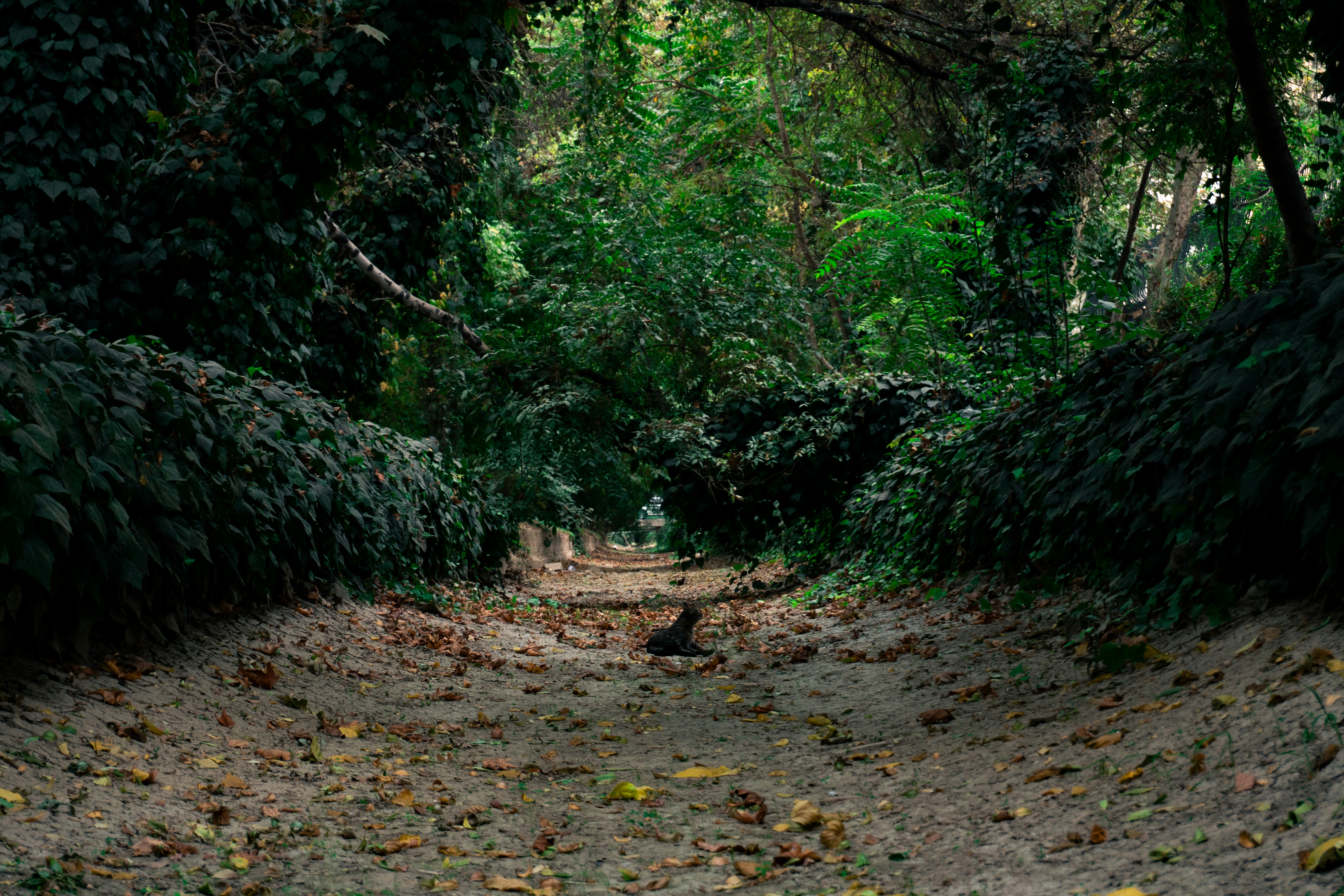 Photo by aryan_alahverdi