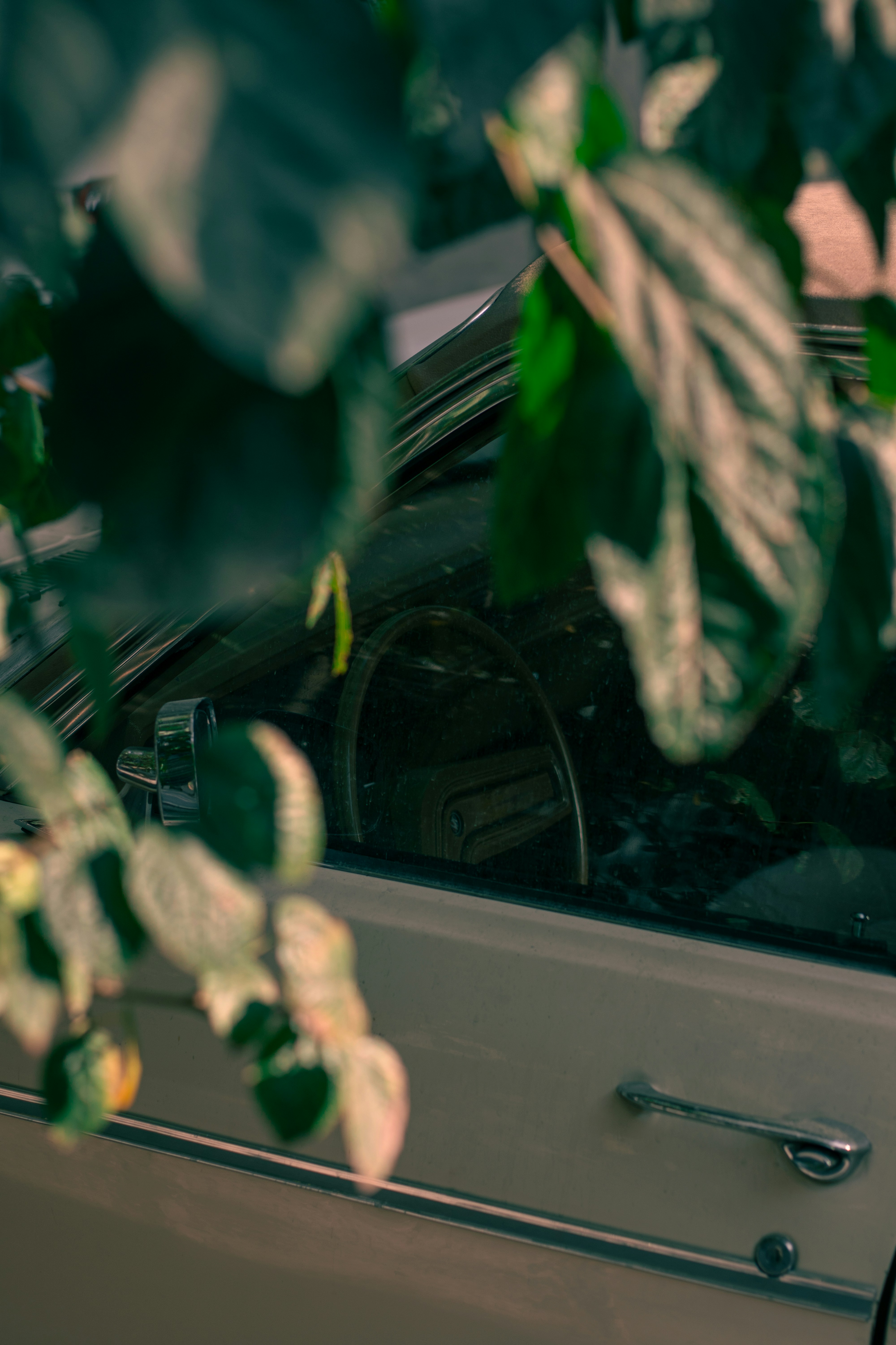 Photo by aryan_alahverdi