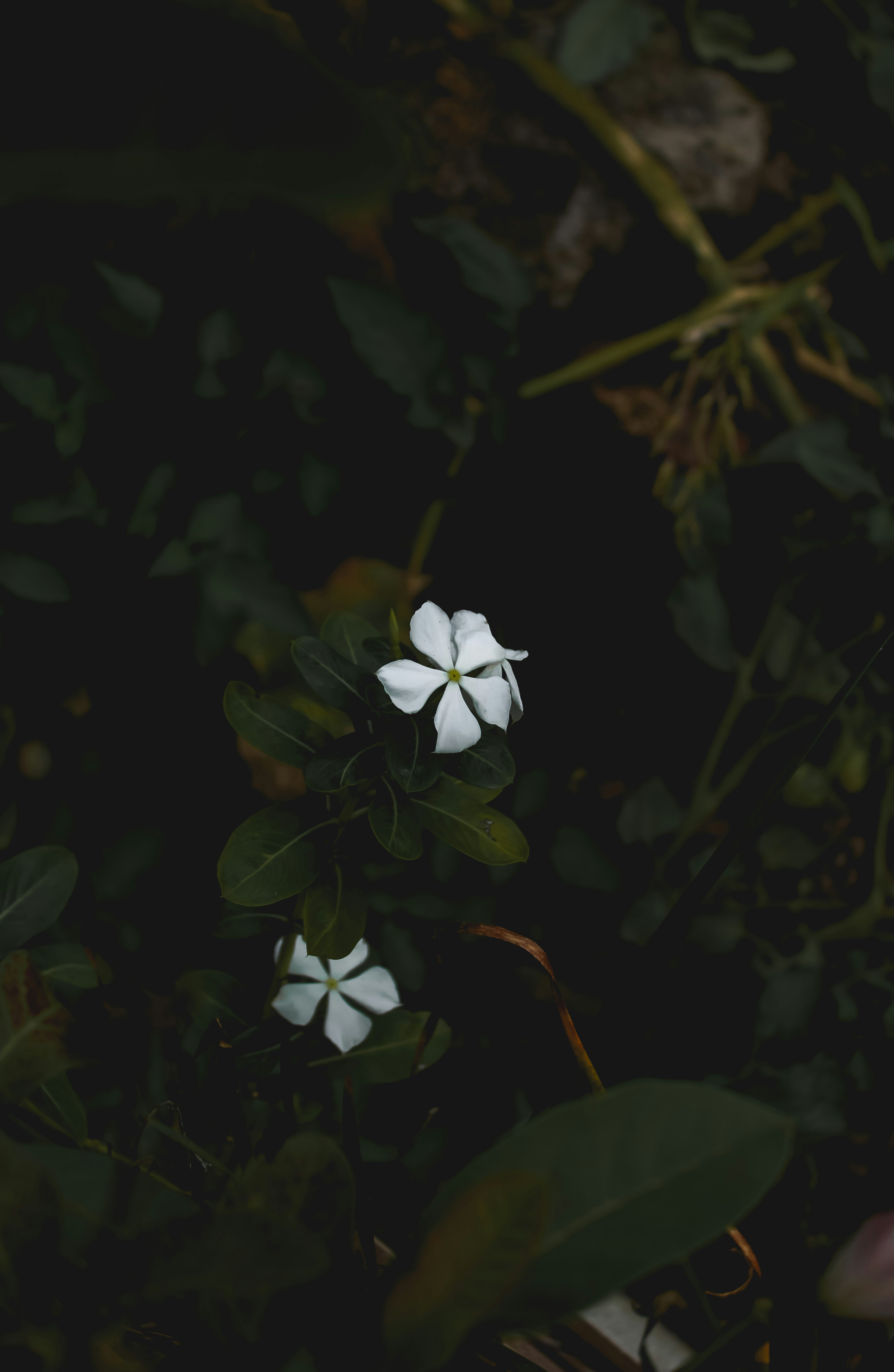 Photo by prasad_s_photography