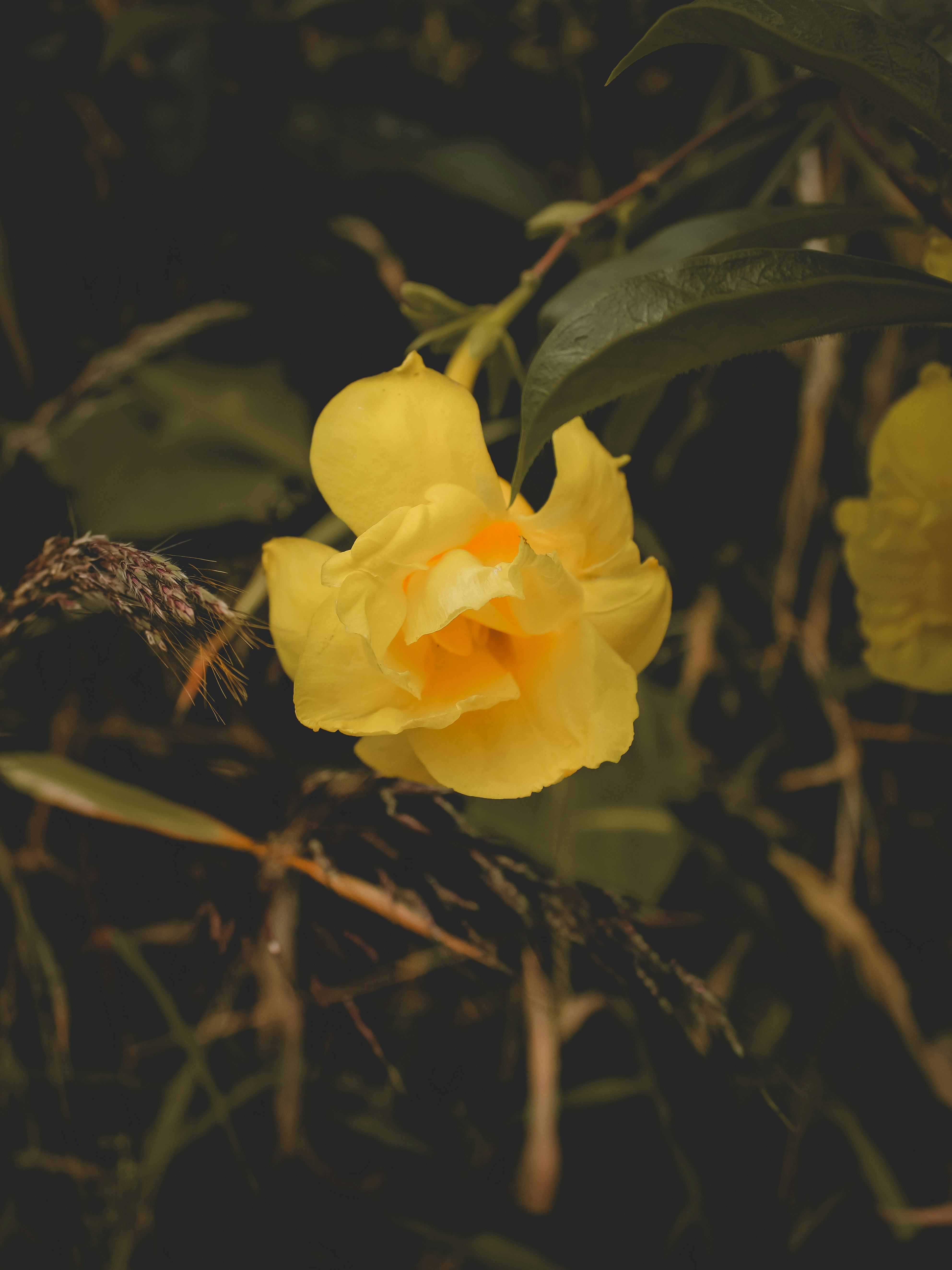 Photo by prasad_s_photography