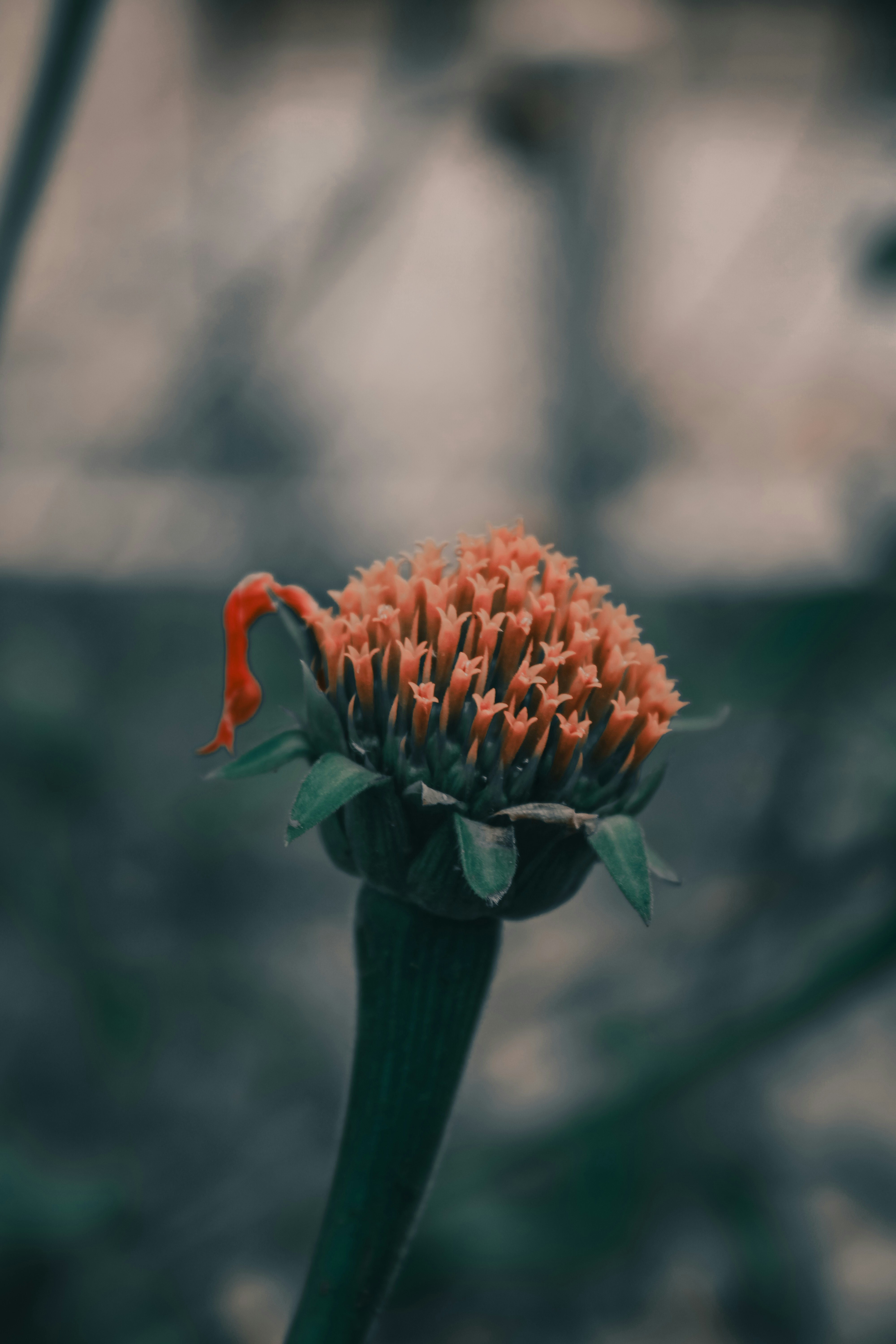 Photo by prasad_s_photography