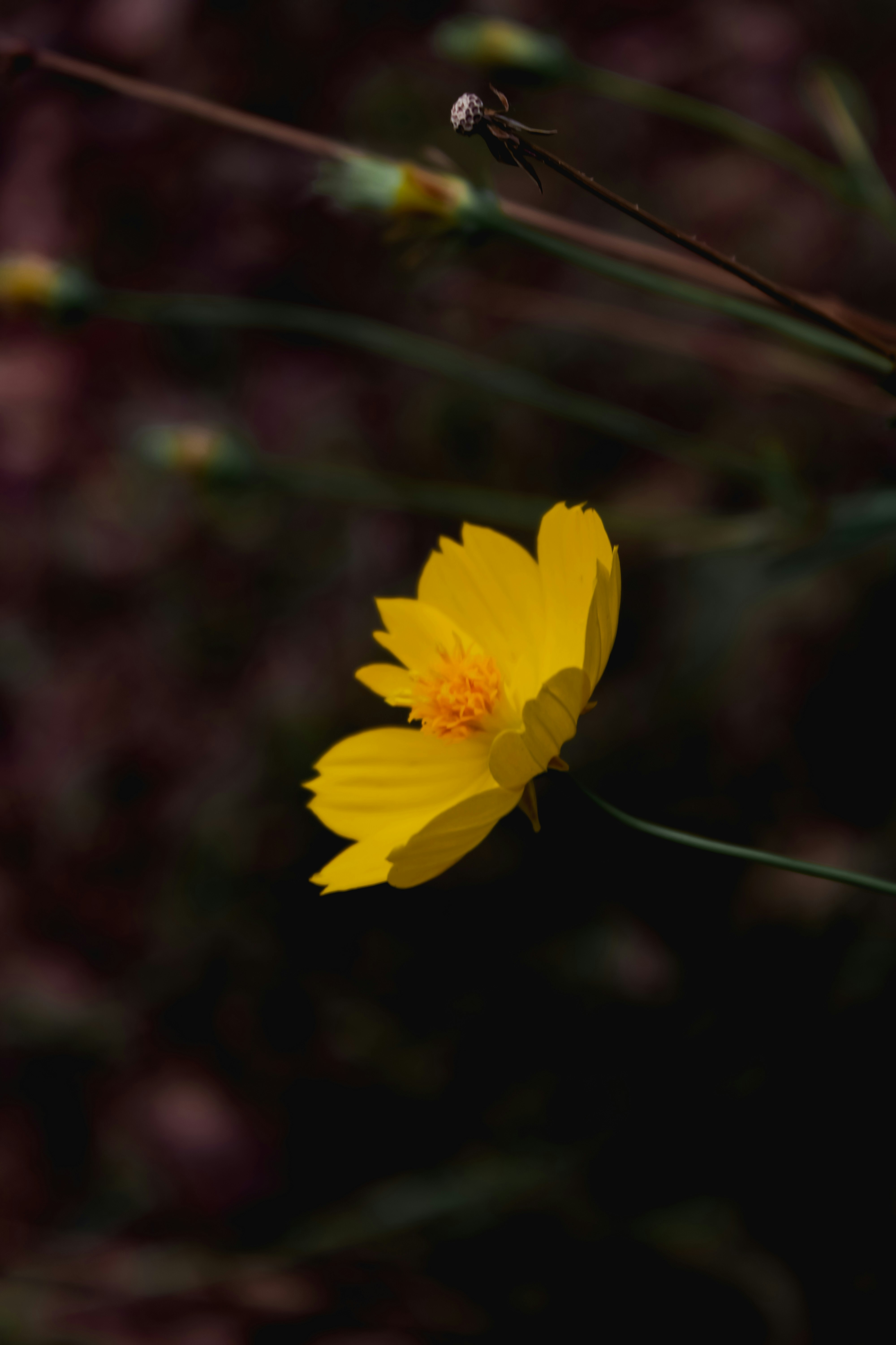 Photo by prasad_s_photography