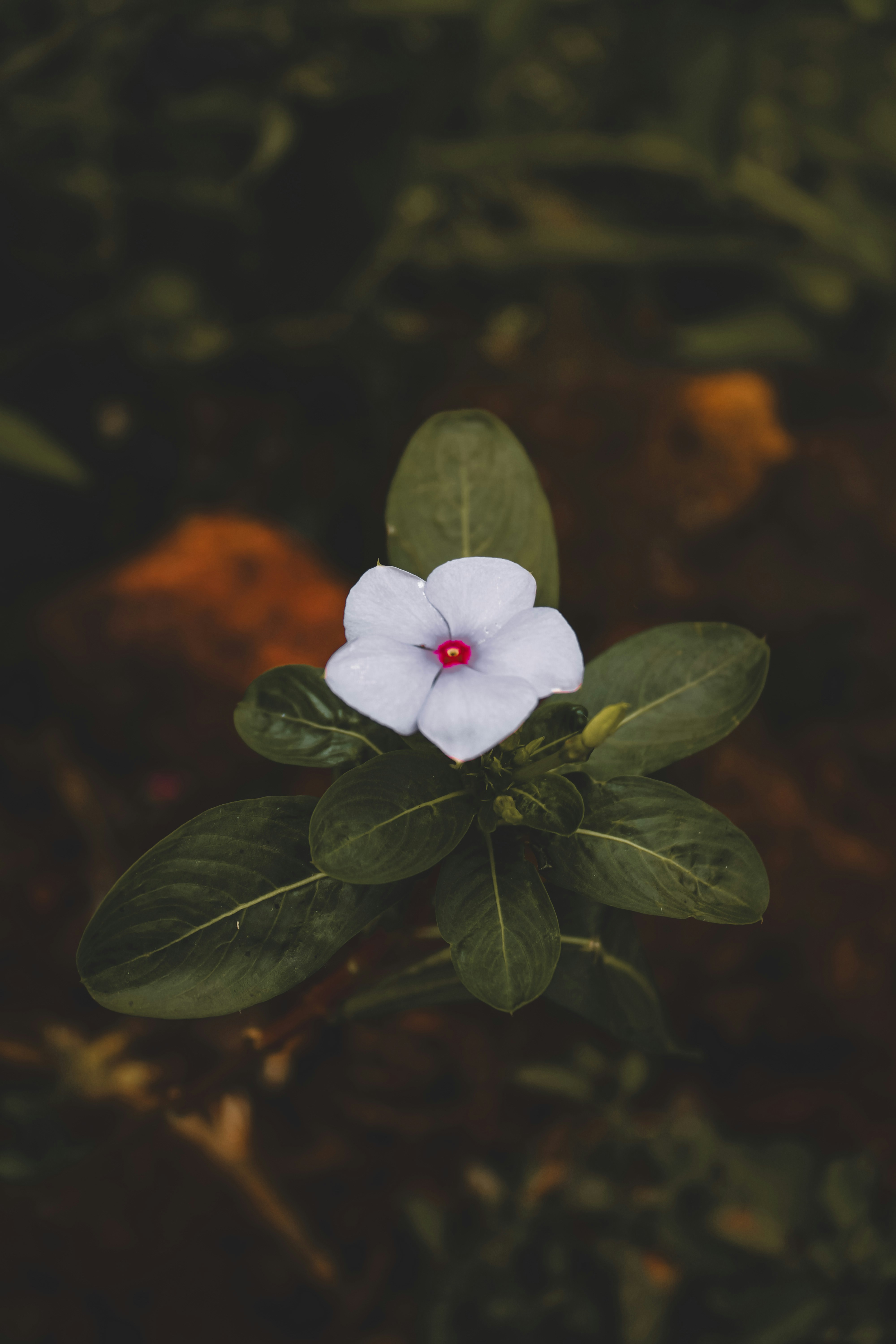 Photo by prasad_s_photography