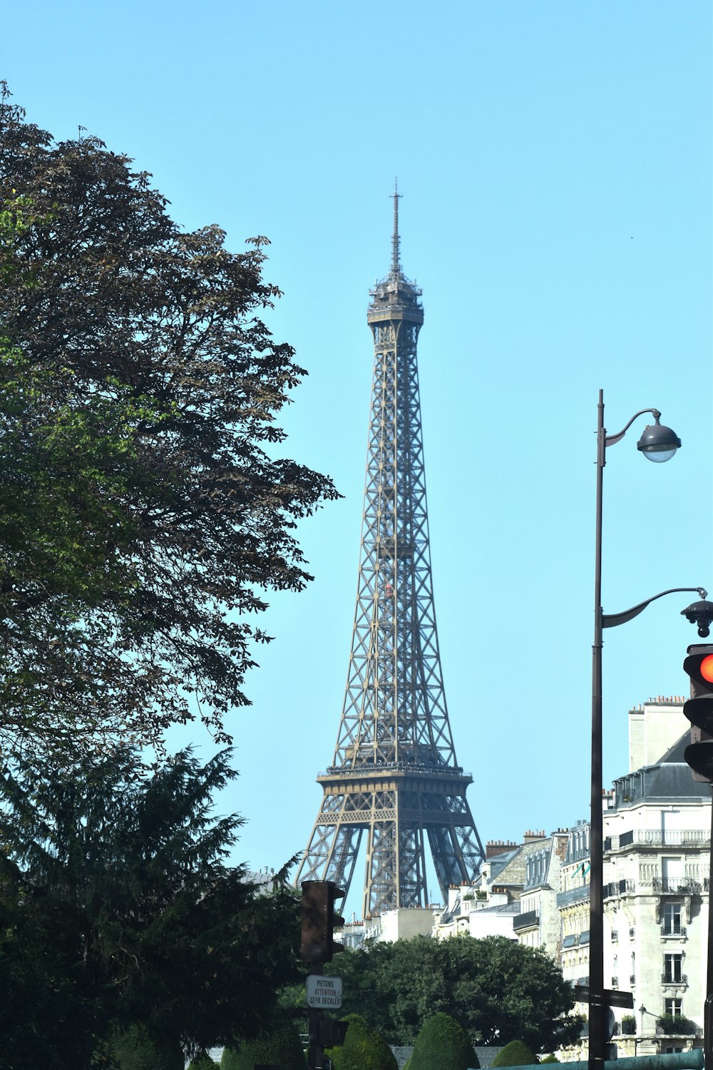 the eiffel tower towering over the city of paris