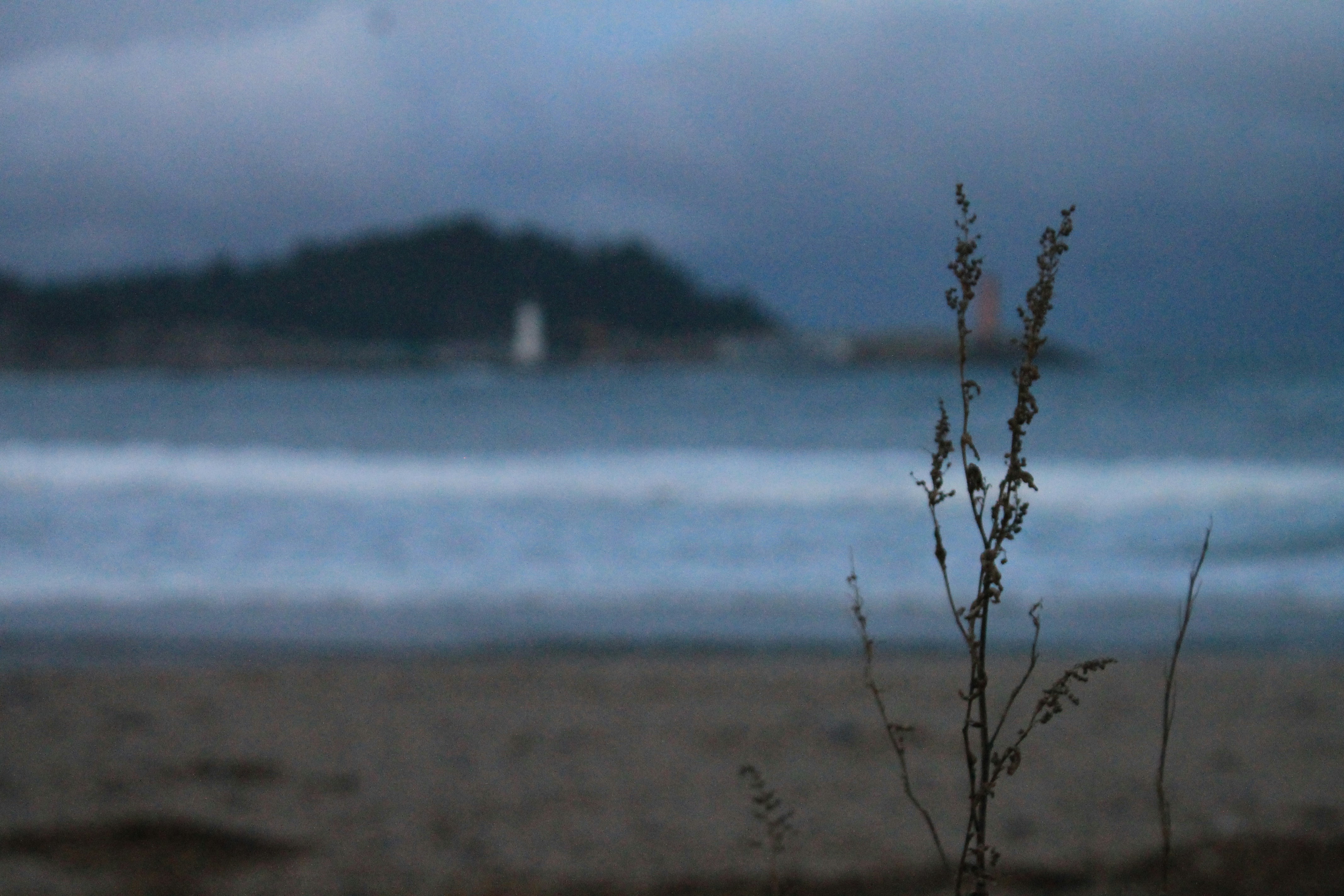 외로움의 강을 어떻게 건널 것인가?