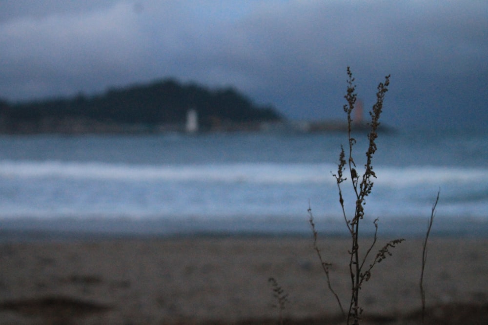 a blurry photo of a beach with a boat in the background