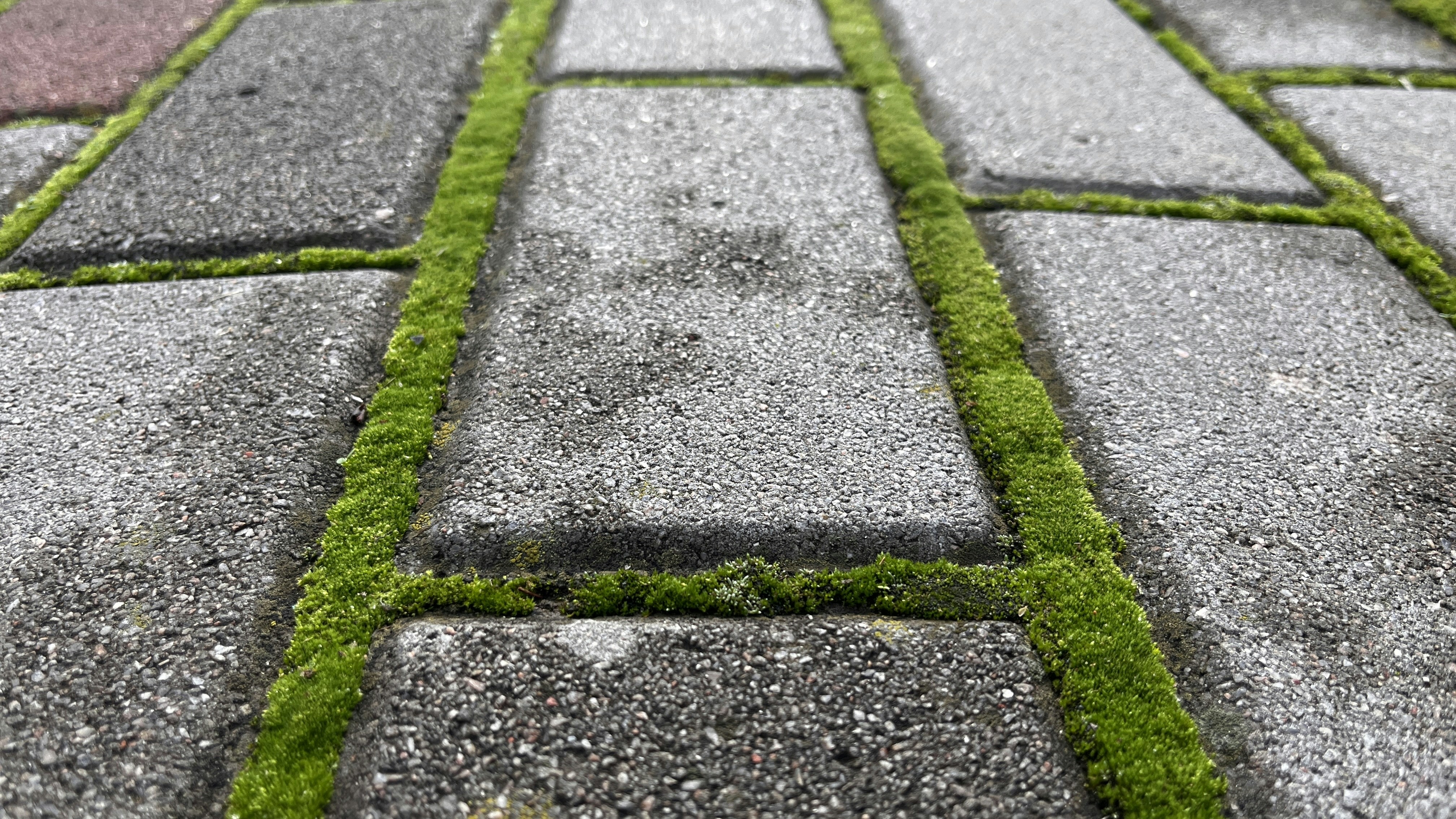 Photo by andrii_motygullin