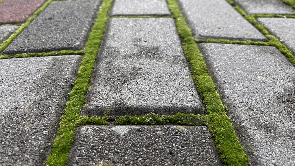 a close up of a sidewalk with grass growing on it