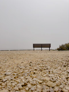Minimalist shot of a single bench under a bare tree on a foggy morning, evoking solitude.