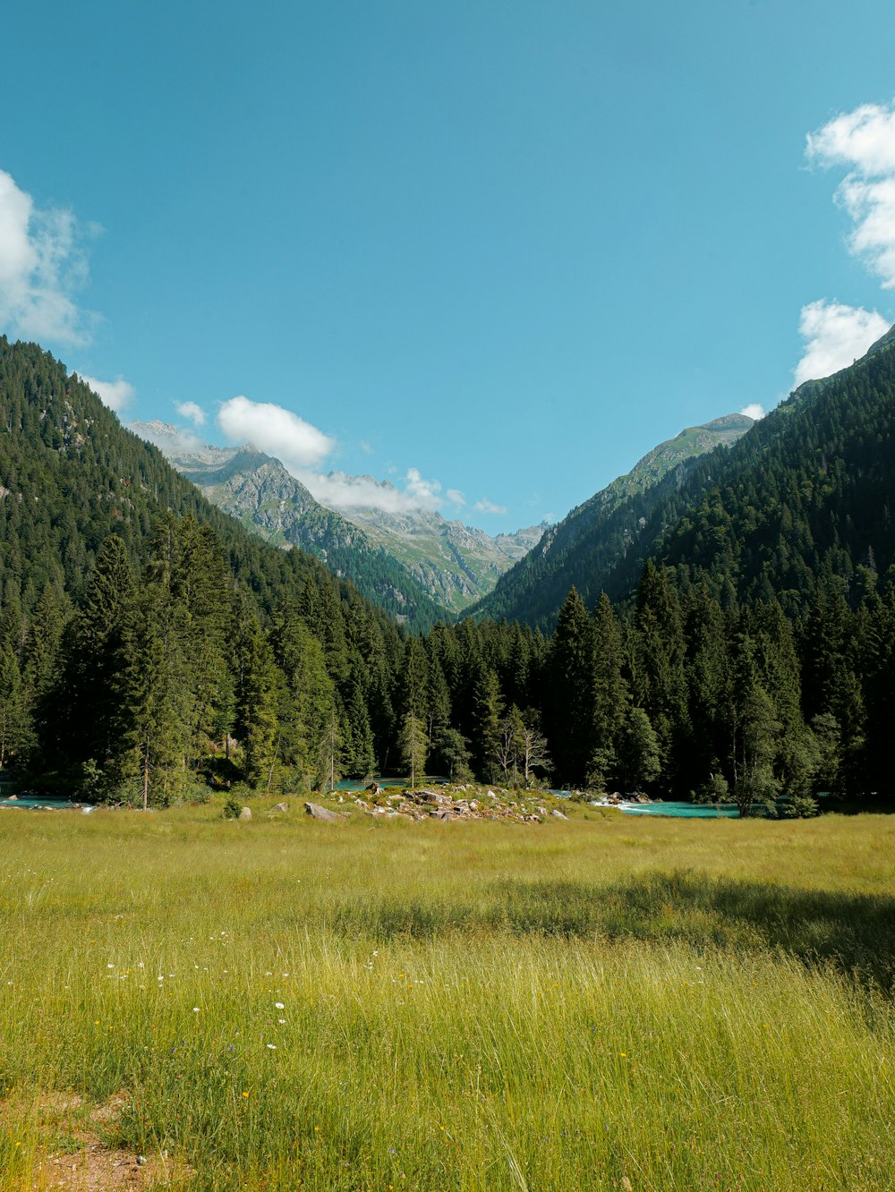 a grassy field with mountains in the background