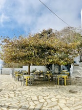 Outdoor dining area with wooden table under trees