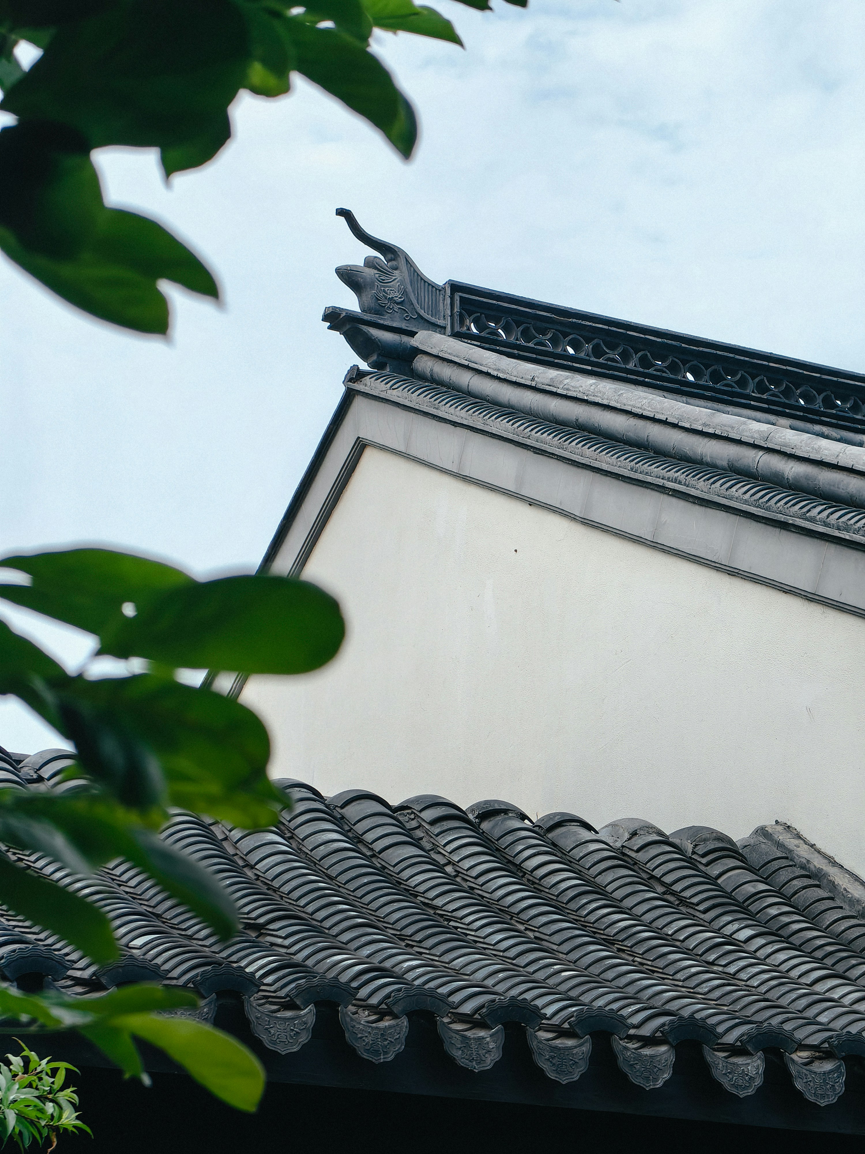 Photo by takeshi2