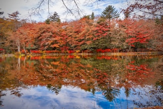 A tranquil lake reflecting autumn trees and orange leaves.