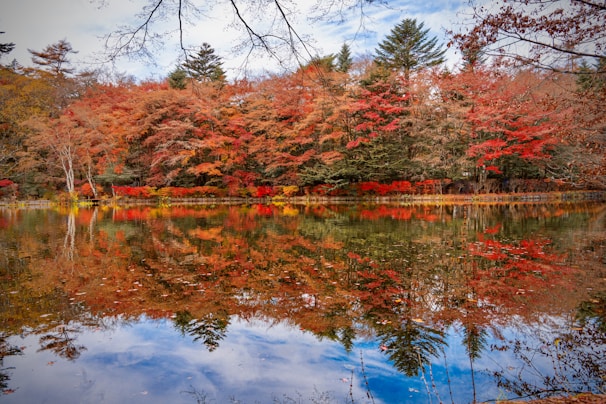 A tranquil lake reflecting autumn trees and orange leaves.
