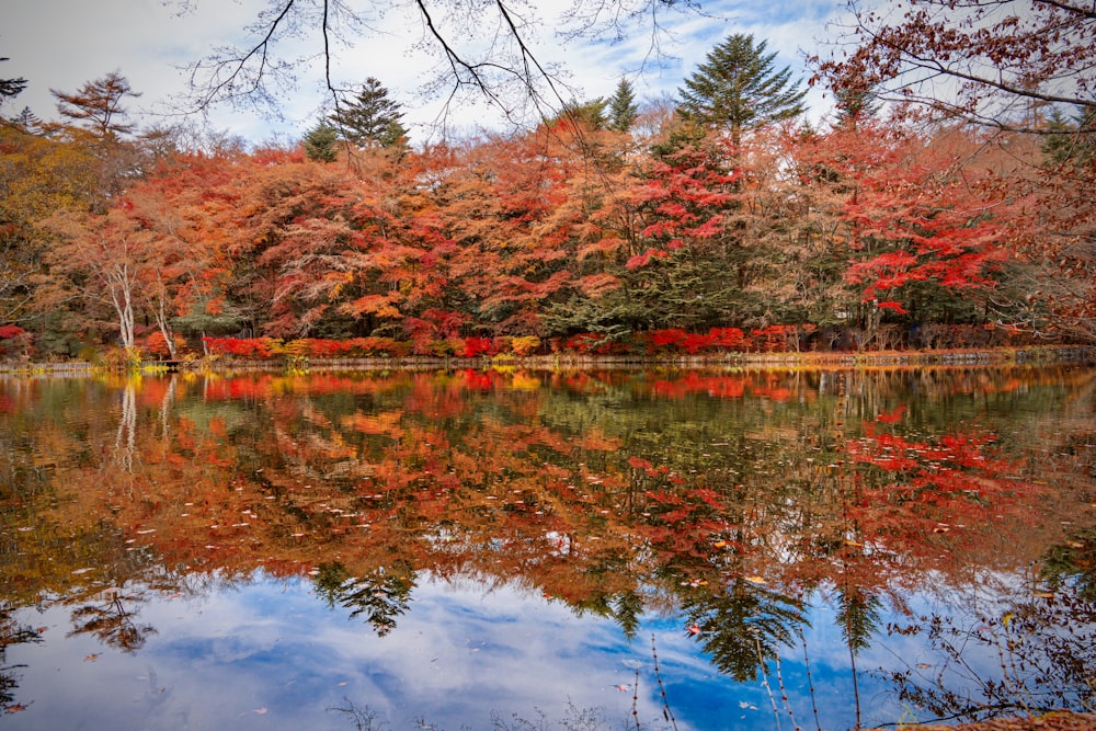 a lake surrounded by lots of trees in the fall