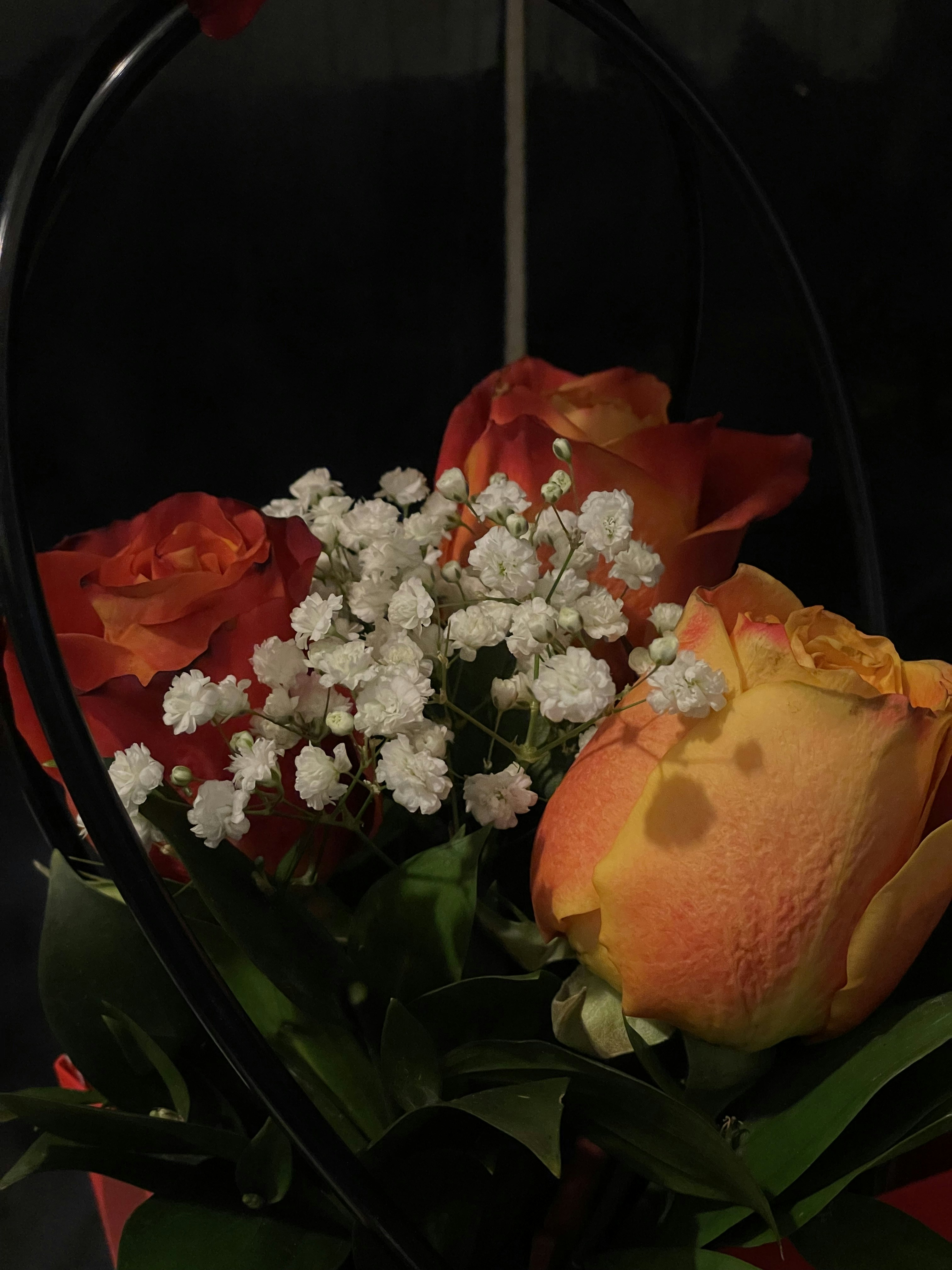 Photo by sonyamaria15