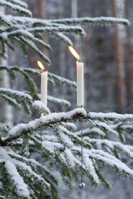 Two lit white candles are placed on a snow-covered pine branch. The background consists of blurred out trees, creating a serene and peaceful winter scenery.
