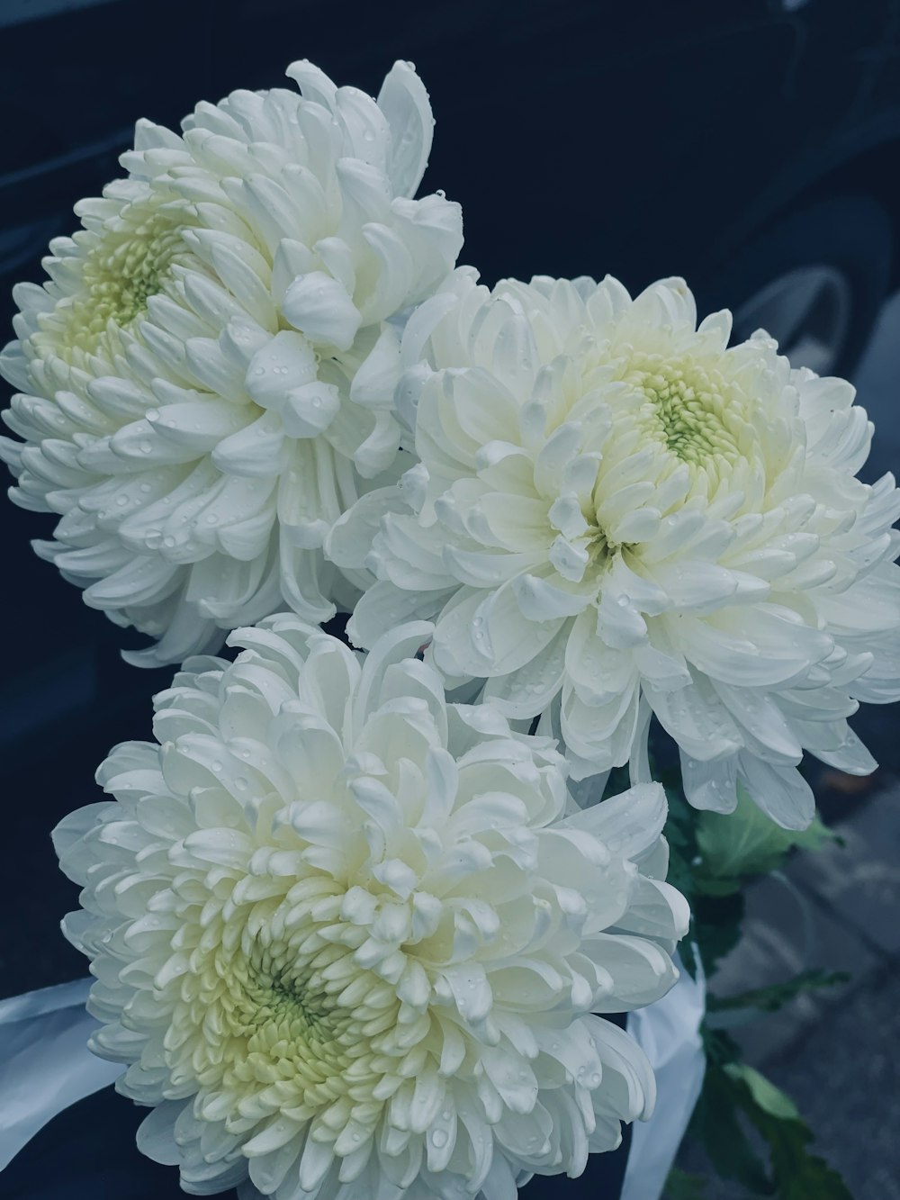 a bouquet of white flowers sitting on top of a table