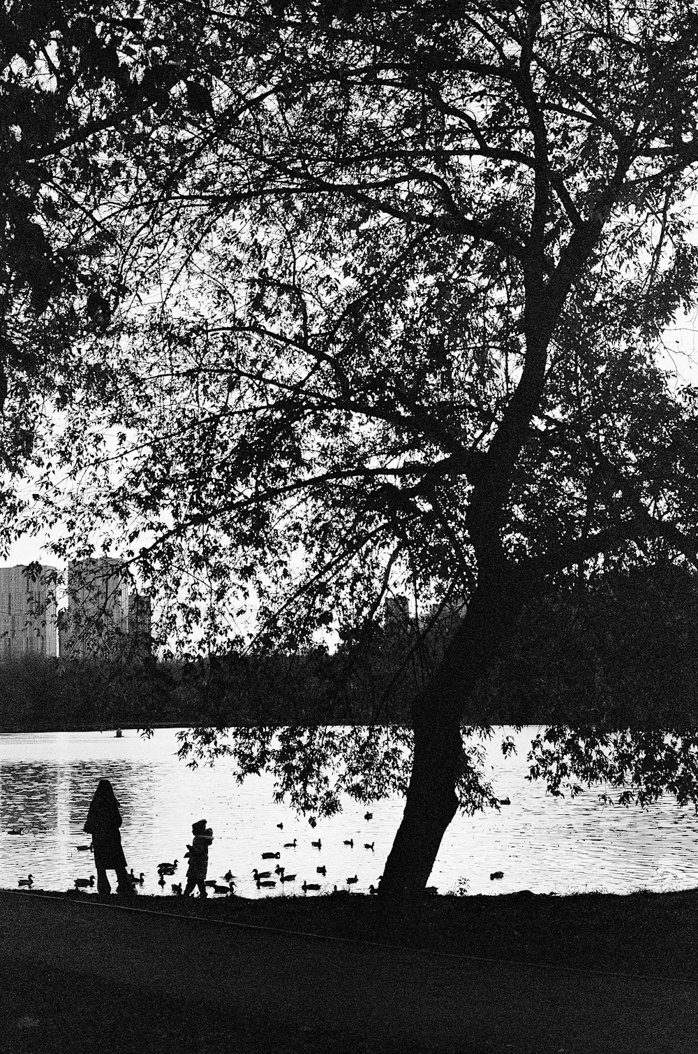 a man and a child are sitting under a tree by the water