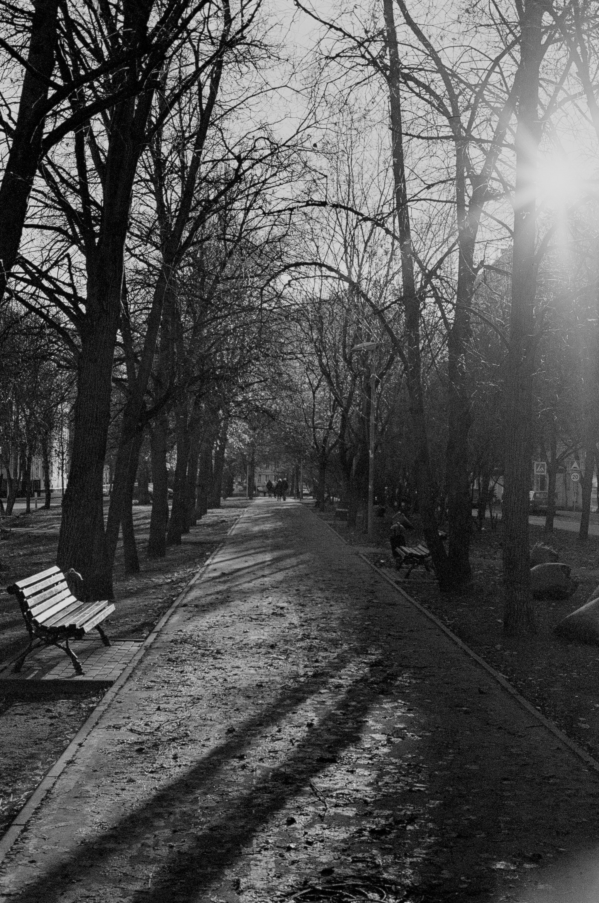 Photo by evilphoton42