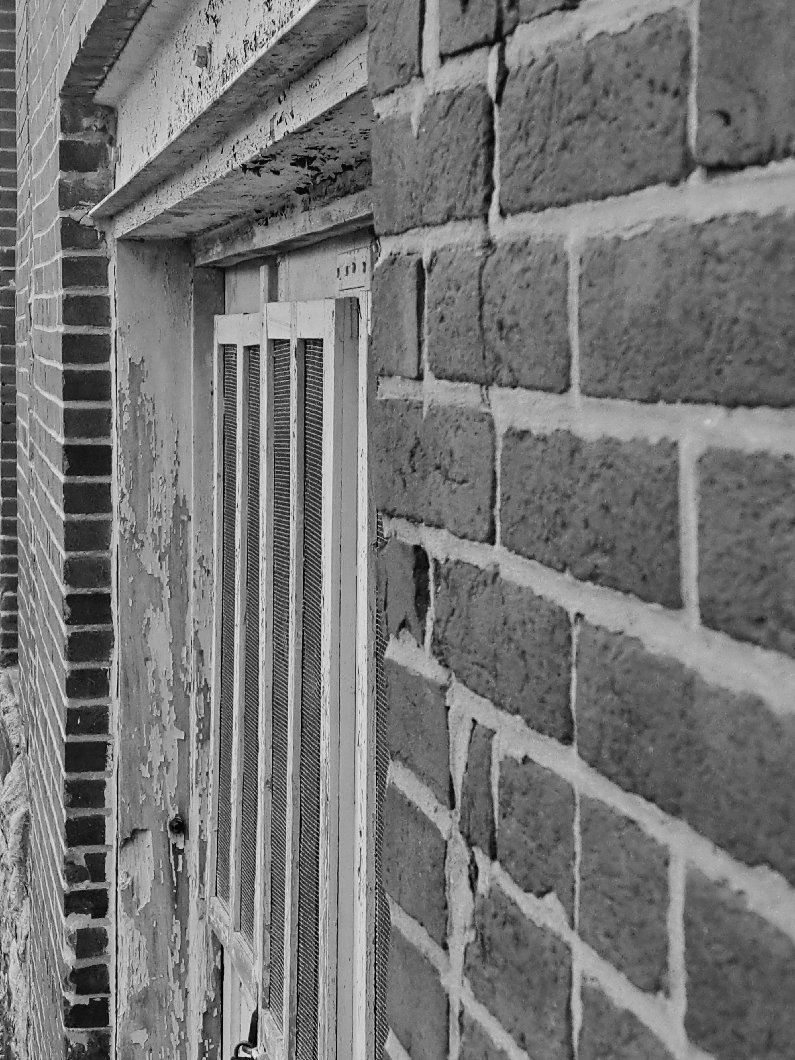 Photo by andreagarson