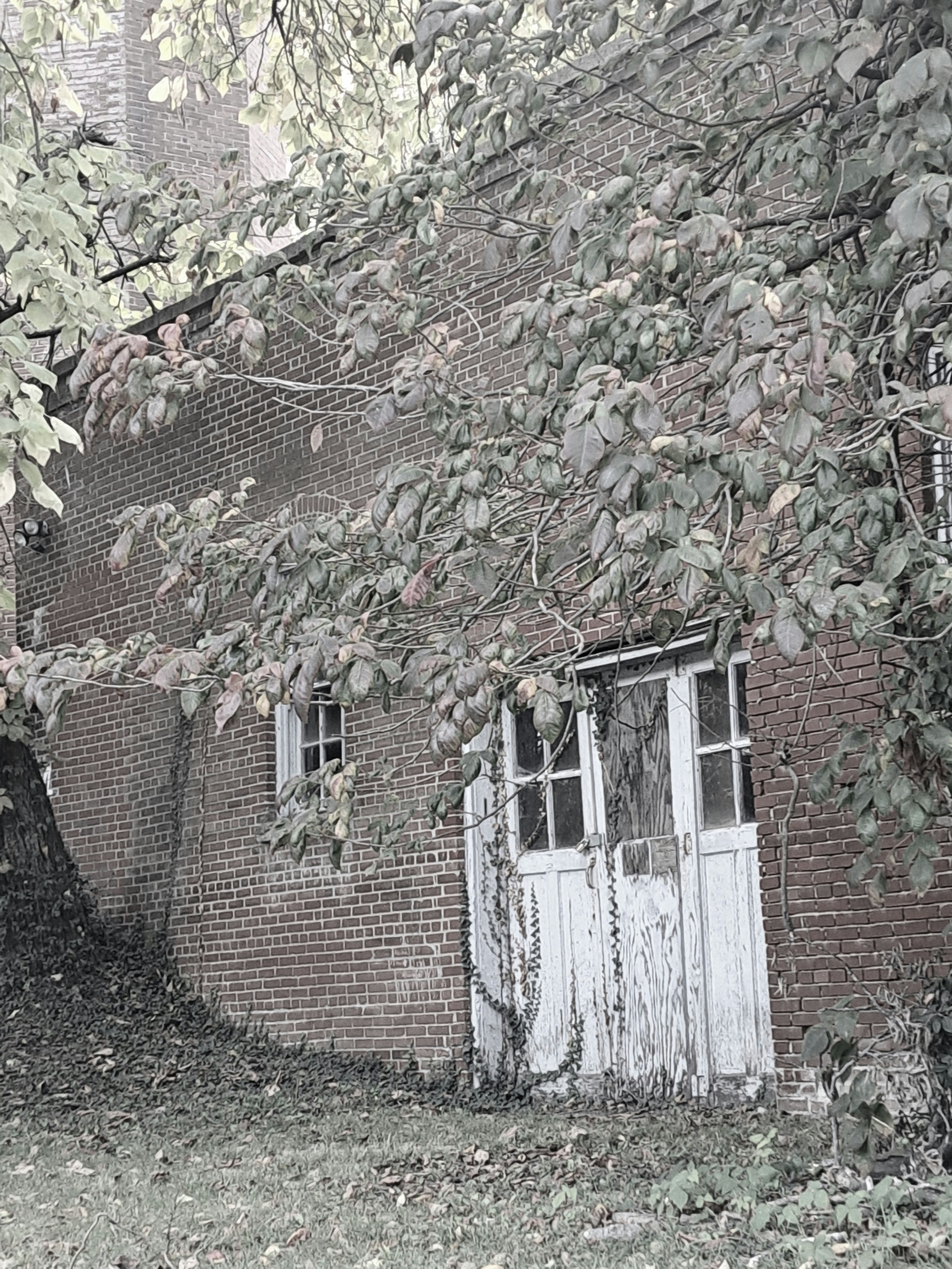 Photo by andreagarson