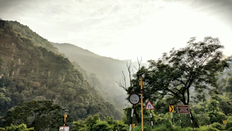 Well-maintained signage along the mountain road surrounded by natural vegetation