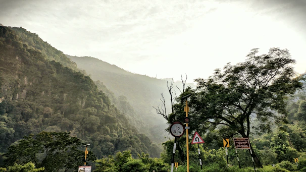 Well-maintained signage along the mountain road surrounded by natural vegetation