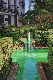 A serene corner with a gently bubbling water fountain surrounded by green foliage