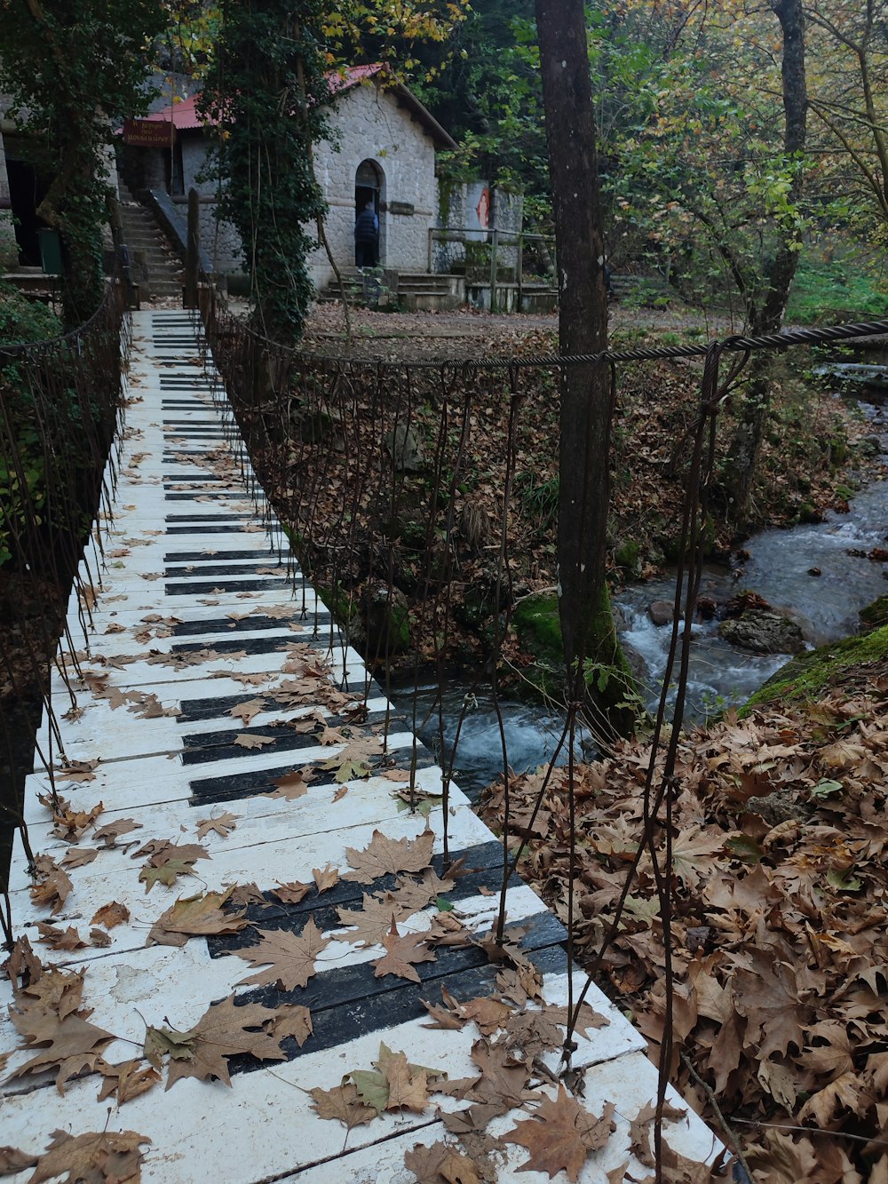 a set of steps leading to a house in the woods