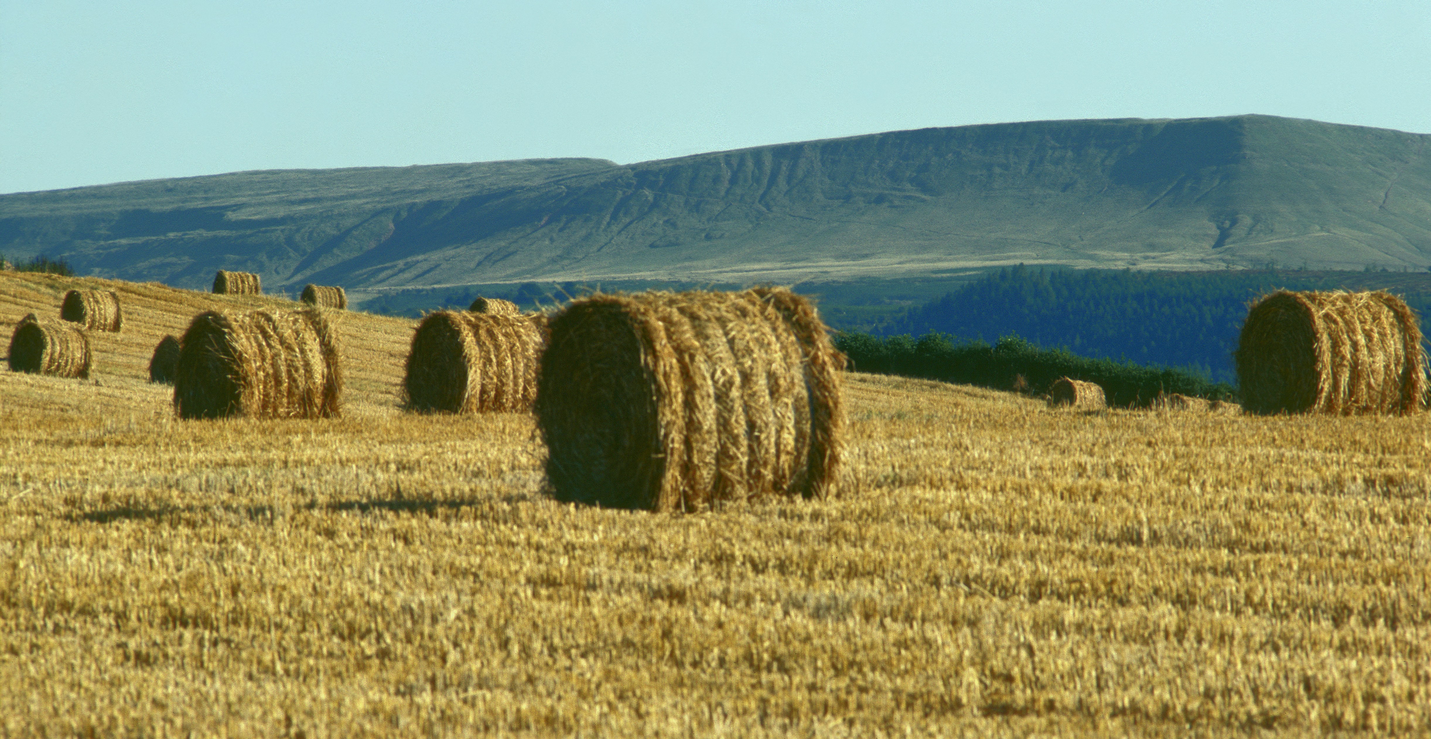 Brecon Beacons & Field Of Hay Bales A farmers field in the Brecon Beacons, Wales UK