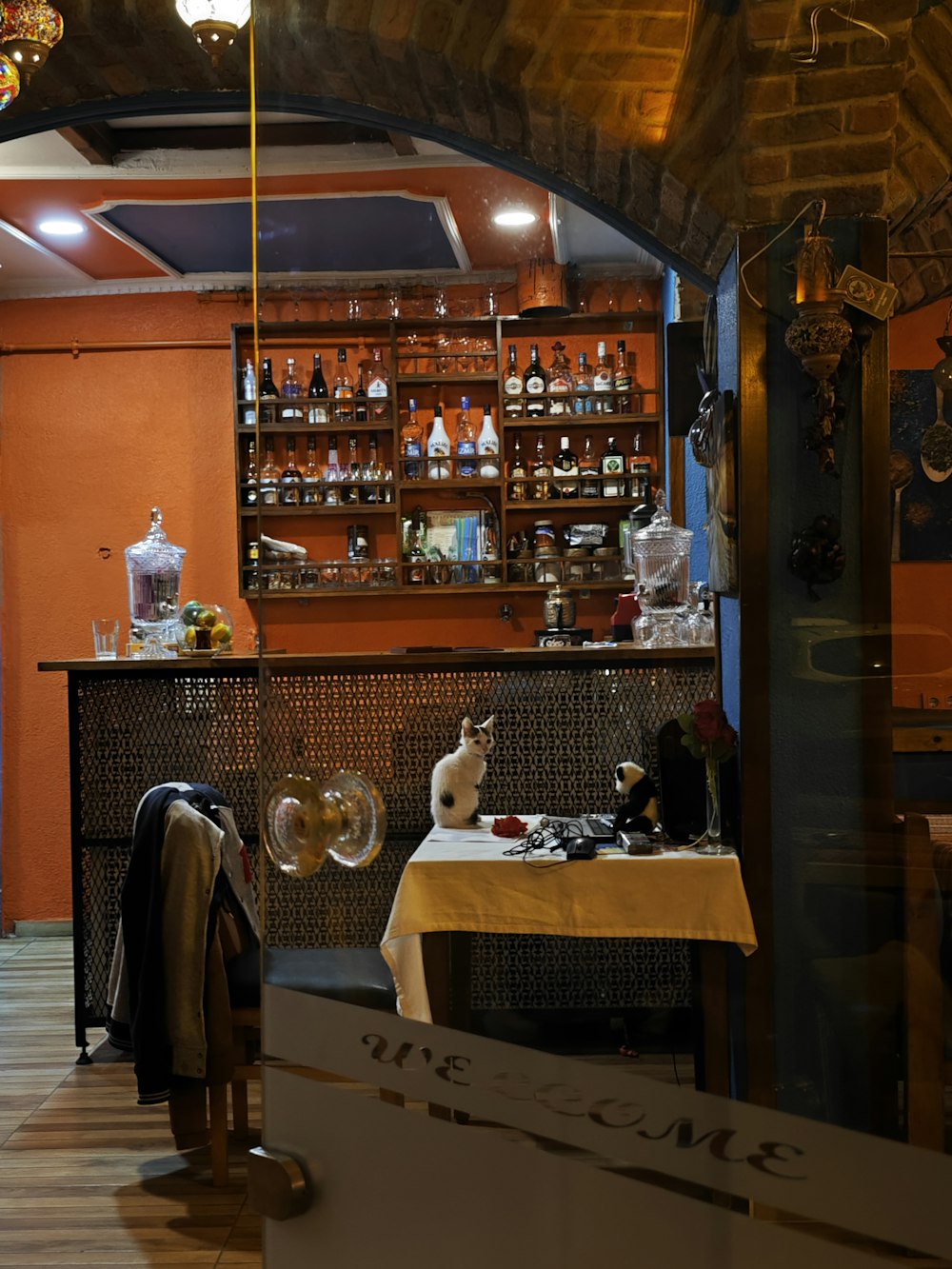 a cat sitting on a table in front of a bar