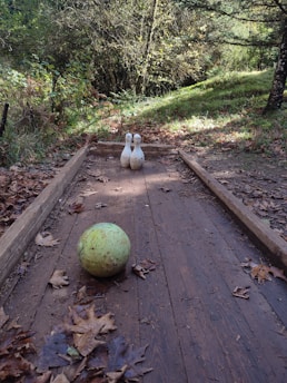 A vibrant lawn bowling scene in Kent.