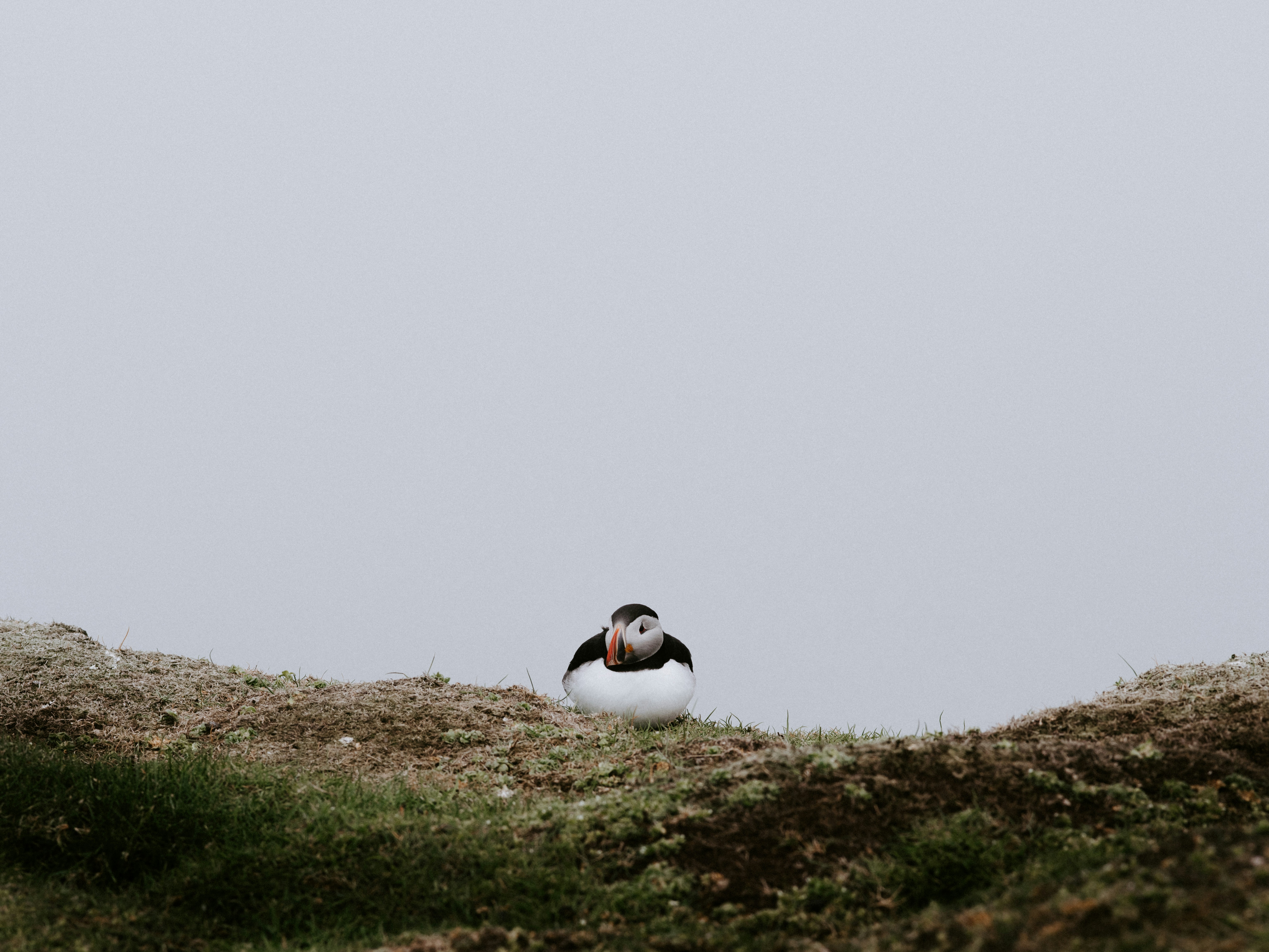 Photo by anniespratt