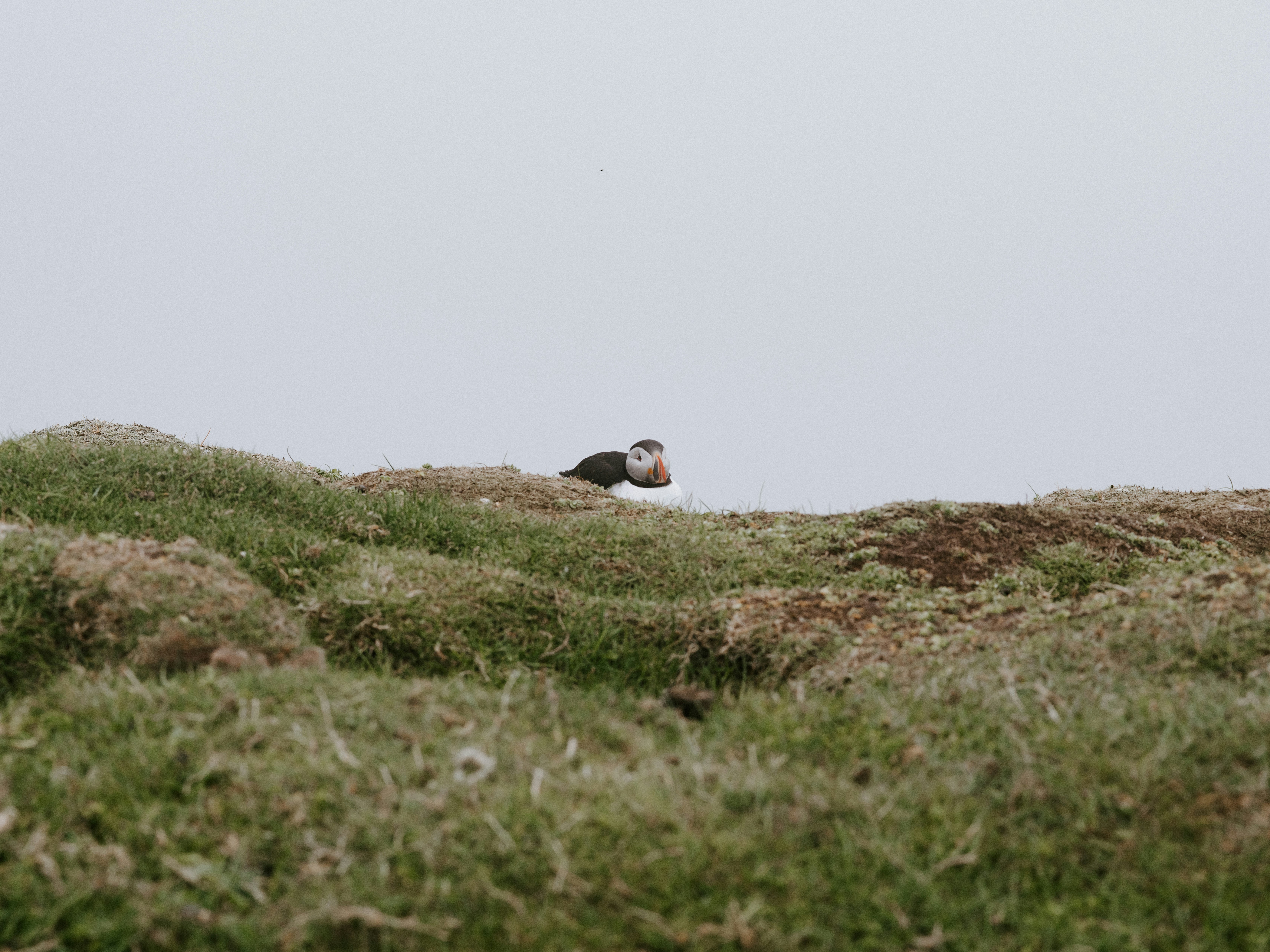 Photo by anniespratt