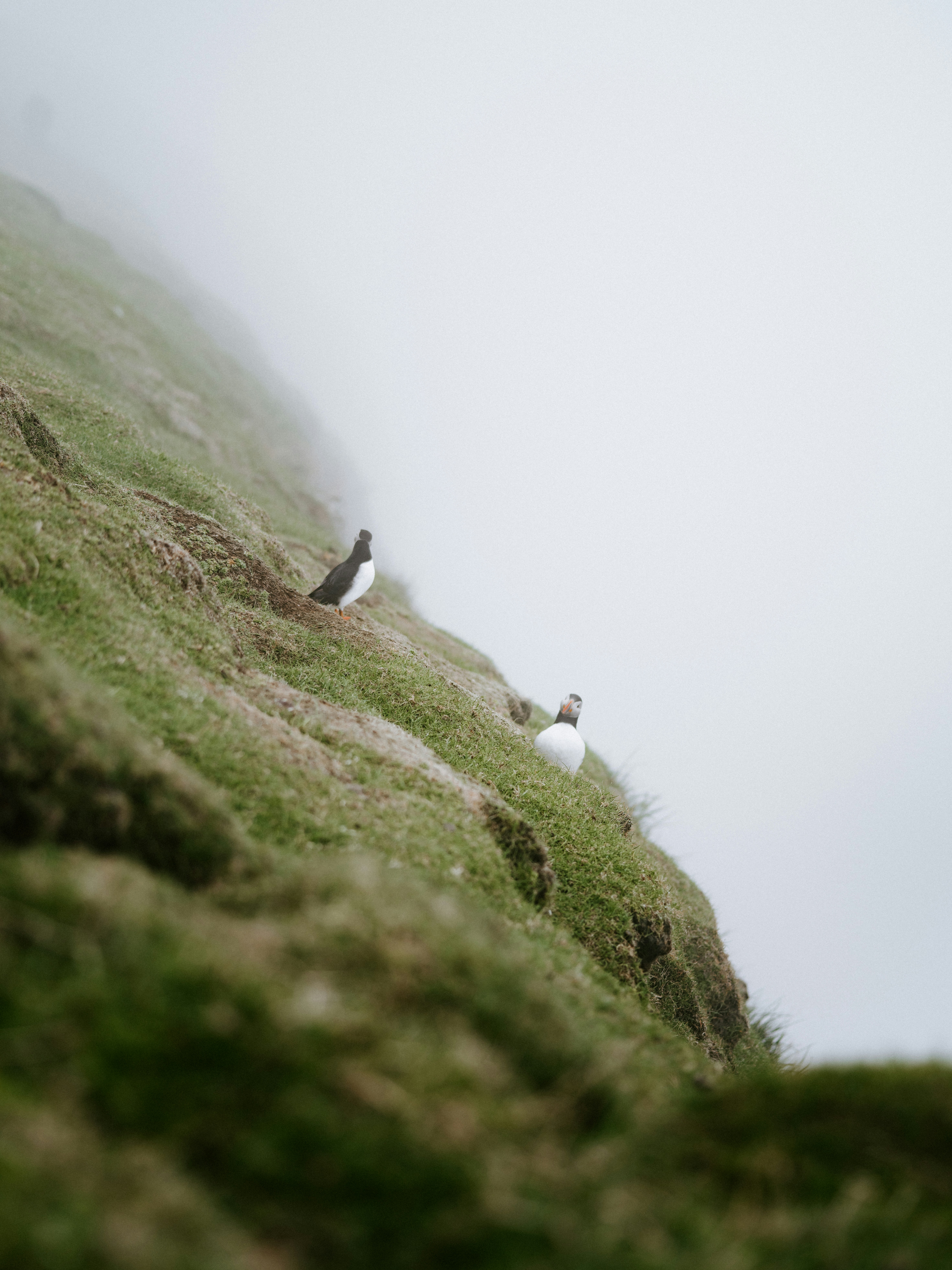 Photo by anniespratt